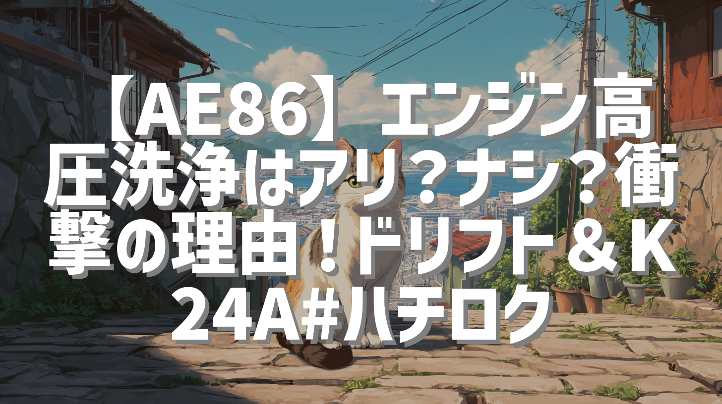【AE86】エンジン高圧洗浄はアリ？ナシ？衝撃の理由！ドリフト＆K24A#ハチロク