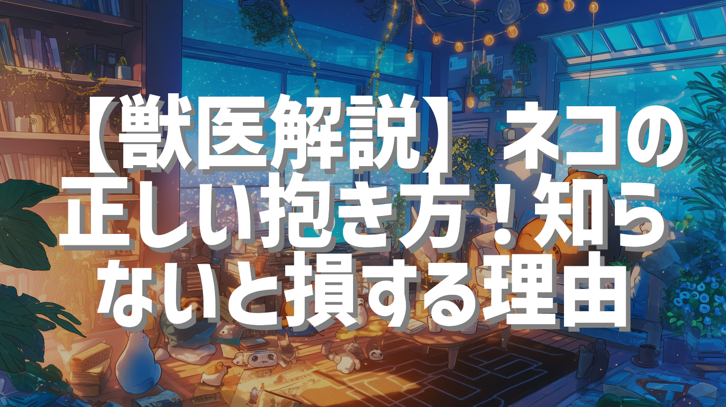 【獣医解説】ネコの正しい抱き方！知らないと損する理由