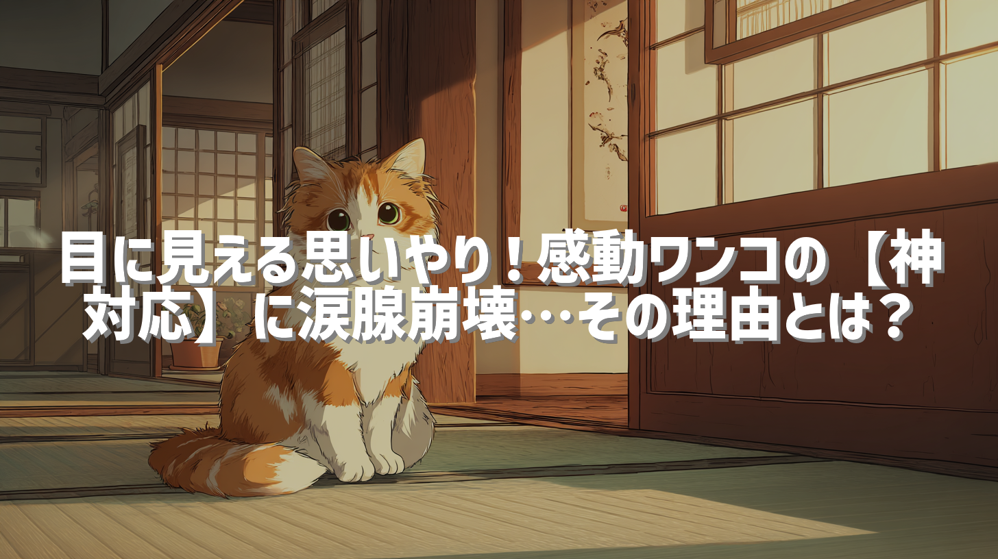 目に見える思いやり！感動ワンコの【神対応】に涙腺崩壊…その理由とは？