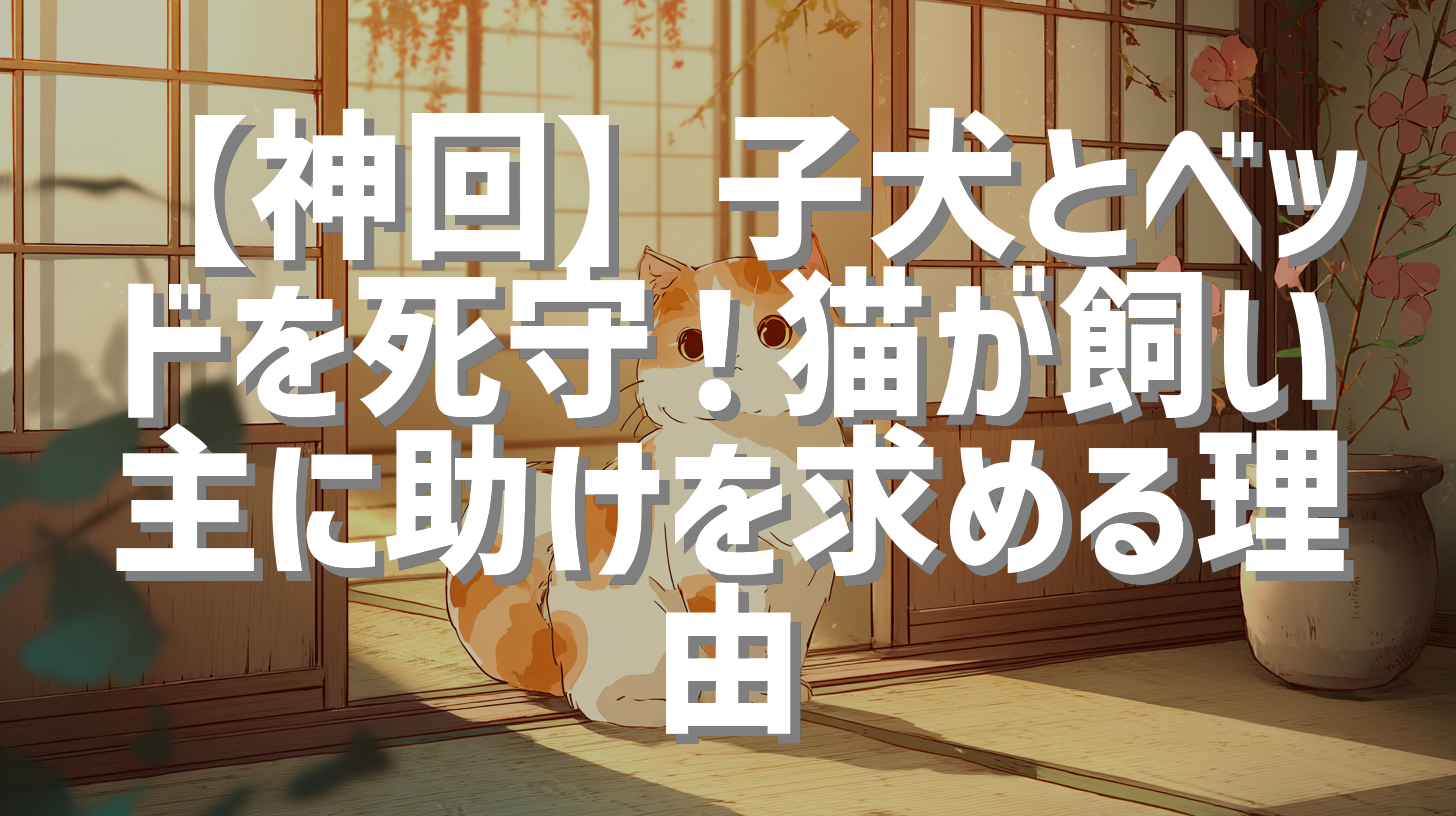【神回】子犬とベッドを死守！猫が飼い主に助けを求める理由