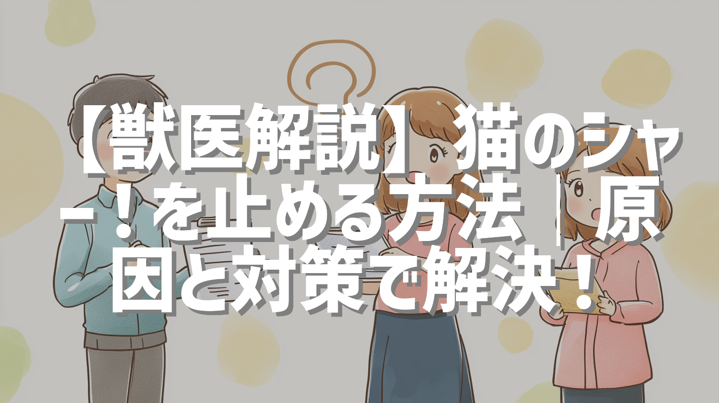 【獣医解説】猫のシャー！を止める方法｜原因と対策で解決！