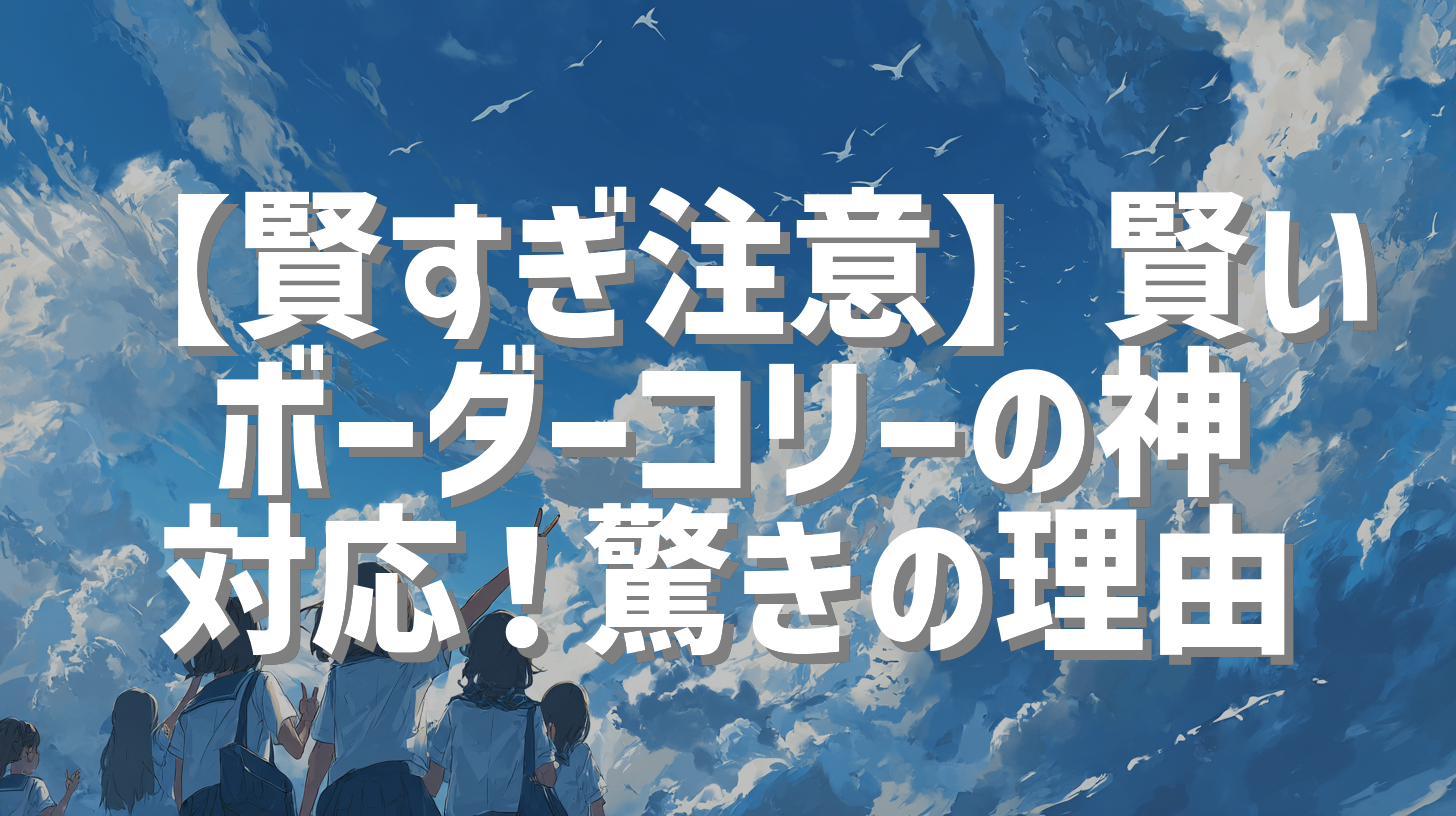 【賢すぎ注意】賢いボーダーコリーの神対応！驚きの理由