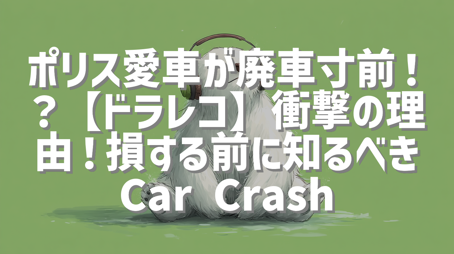 ポリス愛車が廃車寸前！？【ドラレコ】衝撃の理由！損する前に知るべきCar Crash