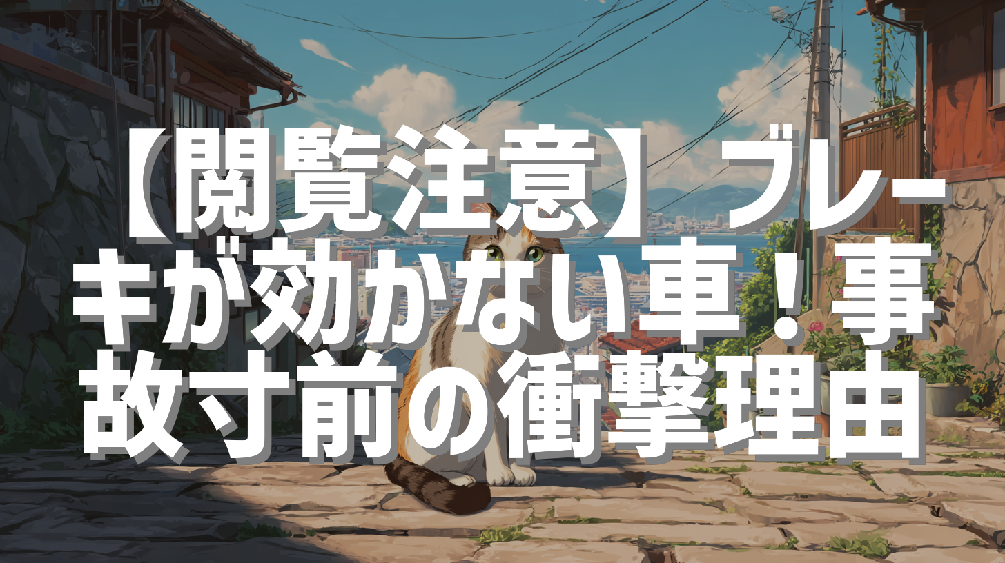 【閲覧注意】ブレーキが効かない車！事故寸前の衝撃理由