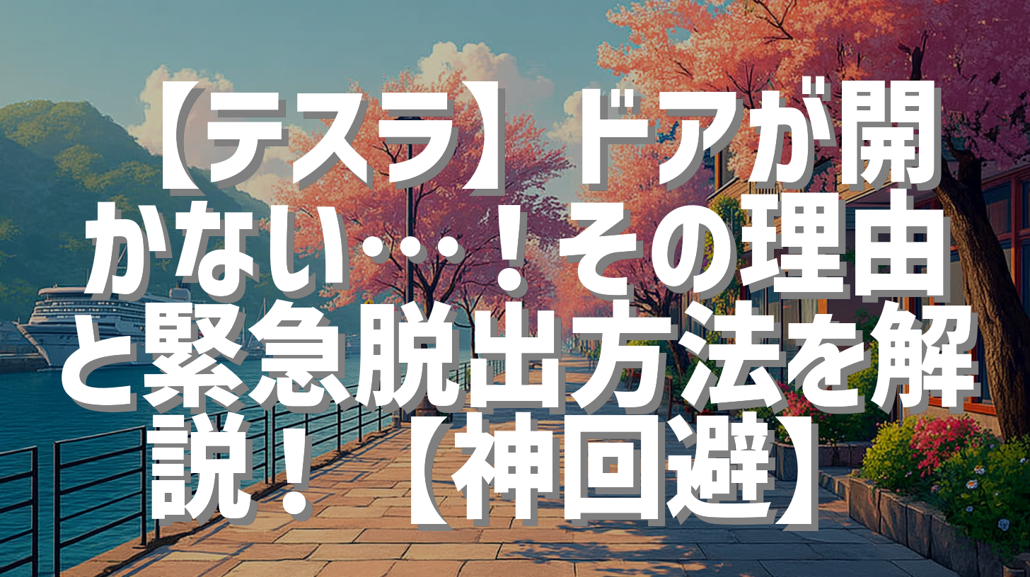 【テスラ】ドアが開かない…！その理由と緊急脱出方法を解説！【神回避】