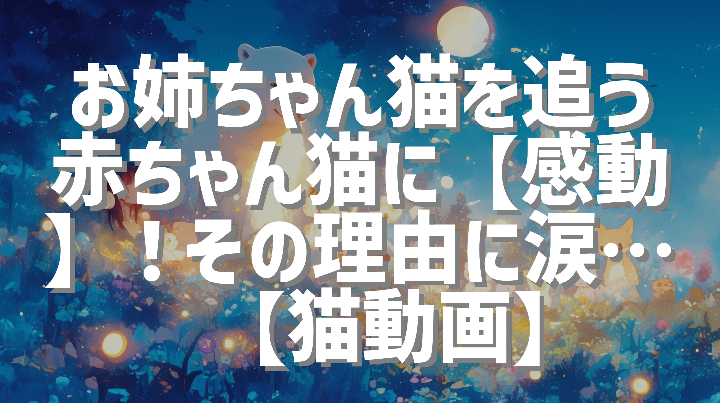 お姉ちゃん猫を追う赤ちゃん猫に【感動】！その理由に涙…😭【猫動画】