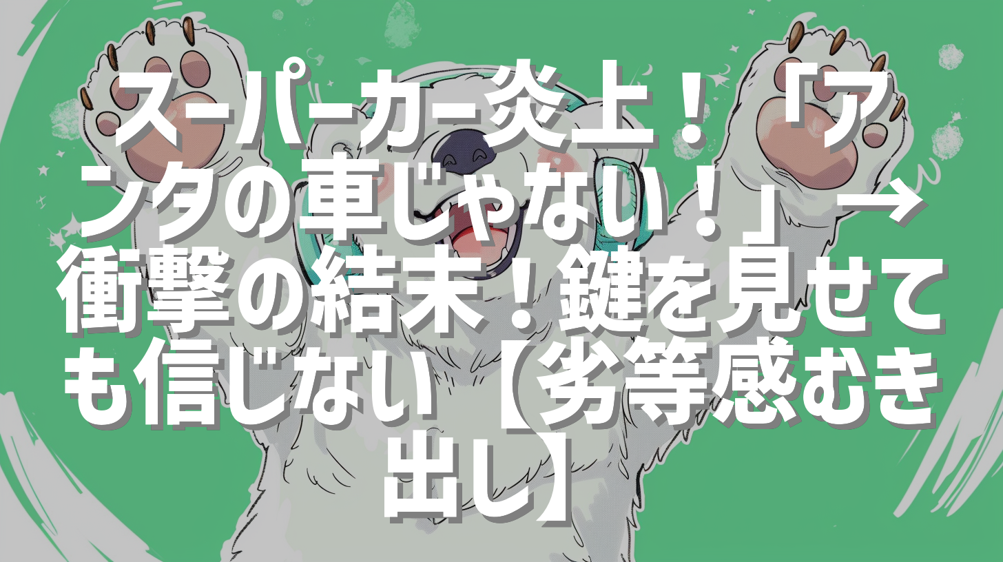 スーパーカー炎上！「アンタの車じゃない！」→衝撃の結末！鍵を見せても信じない【劣等感むき出し】
