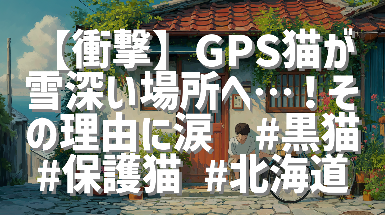 【衝撃】GPS猫が雪深い場所へ…！その理由に涙😢#黒猫 #保護猫 #北海道