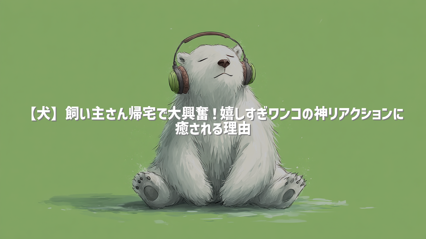 【犬】飼い主さん帰宅で大興奮！嬉しすぎワンコの神リアクションに癒される理由