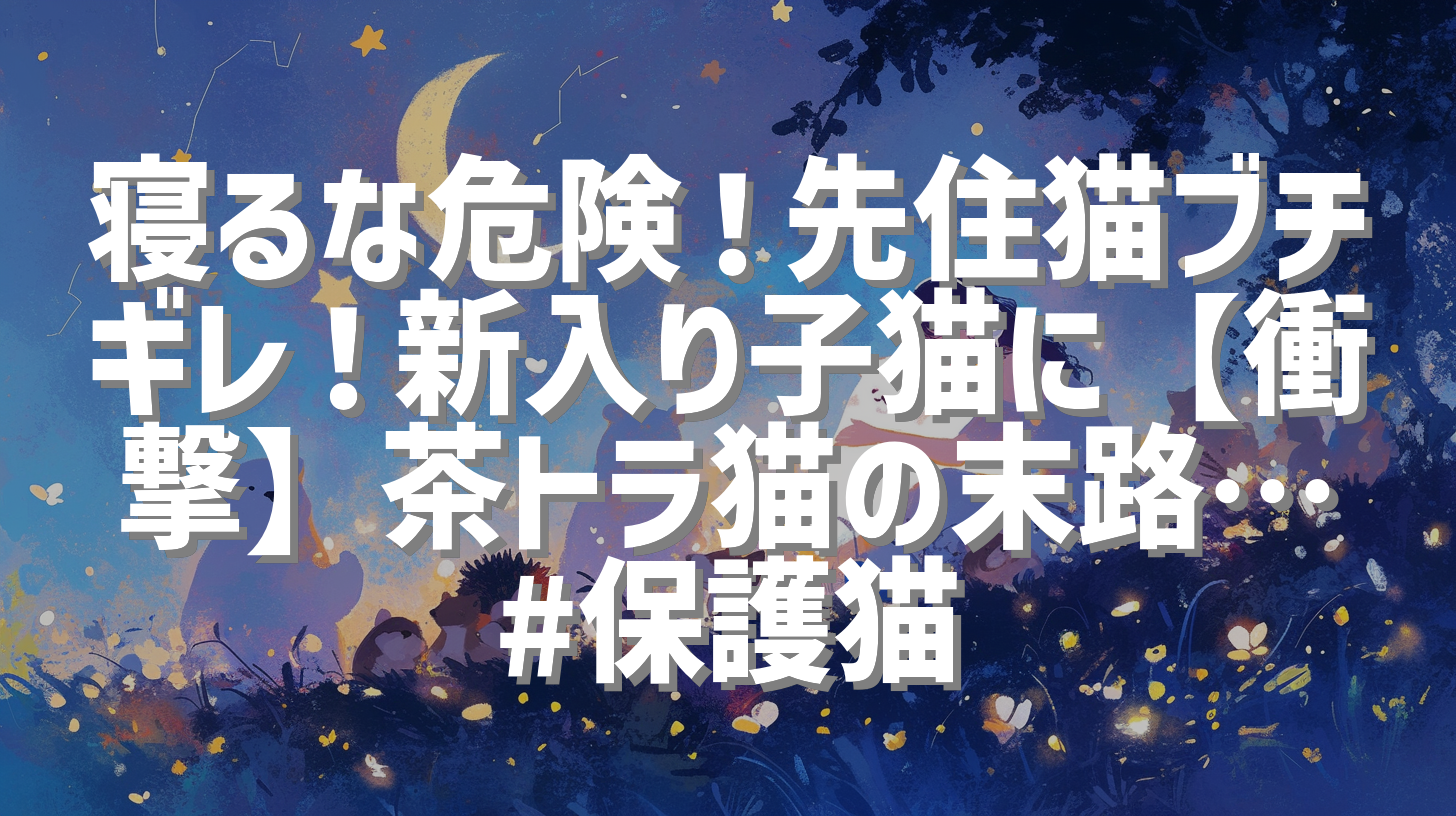 寝るな危険！先住猫ブチギレ！新入り子猫に【衝撃】茶トラ猫の末路… #保護猫