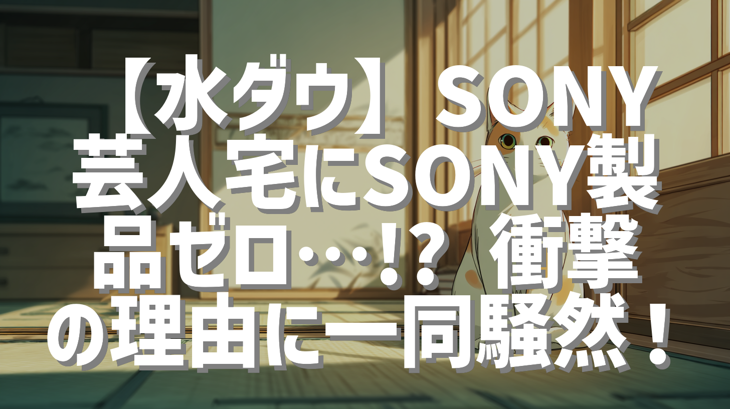 【水ダウ】SONY芸人宅にSONY製品ゼロ…!? 衝撃の理由に一同騒然！