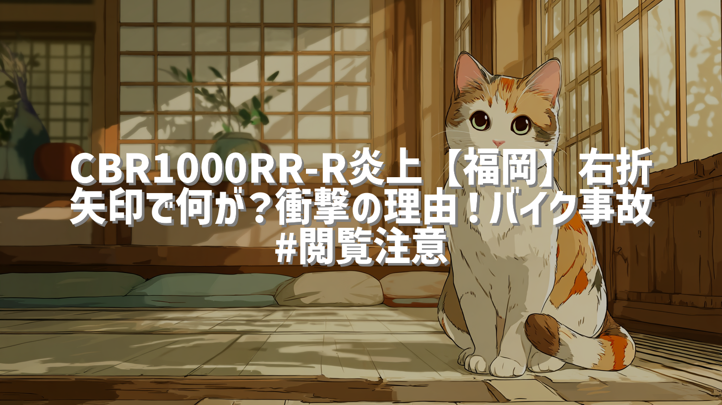 CBR1000RR-R炎上【福岡】右折矢印で何が？衝撃の理由！バイク事故 #閲覧注意