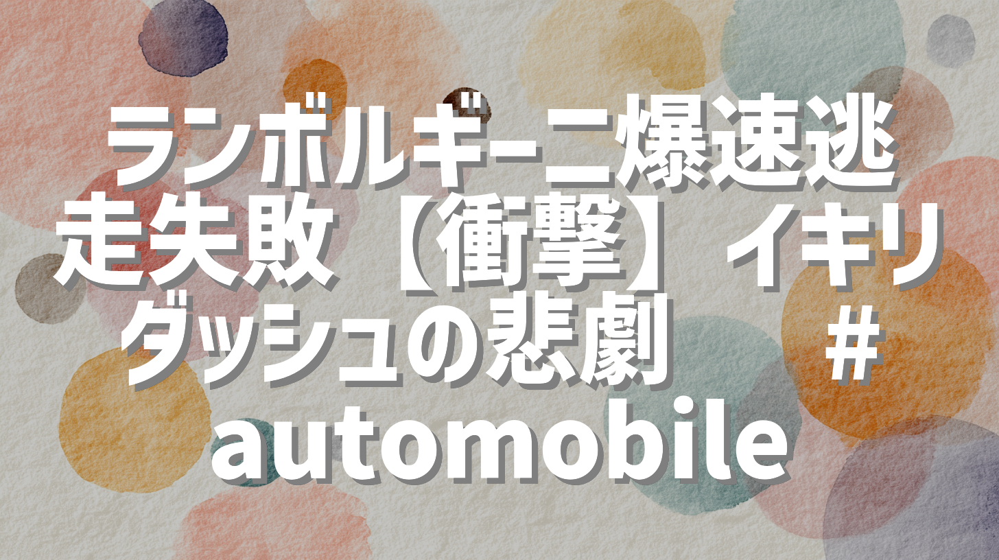 ランボルギーニ爆速逃走失敗【衝撃】イキリダッシュの悲劇😨 #automobile