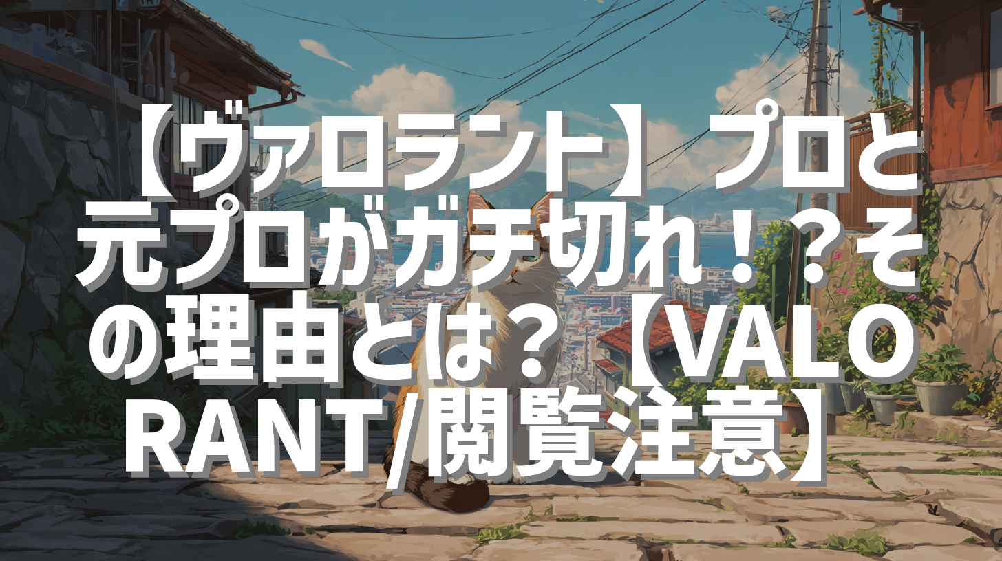 【ヴァロラント】プロと元プロがガチ切れ！？その理由とは？【VALORANT/閲覧注意】